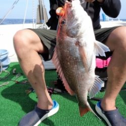 鯛紅丸 釣果