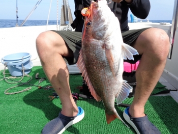 鯛紅丸 釣果
