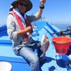 鯛紅丸 釣果