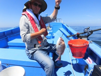 鯛紅丸 釣果
