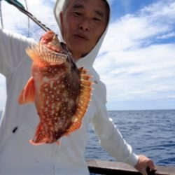 鯛紅丸 釣果