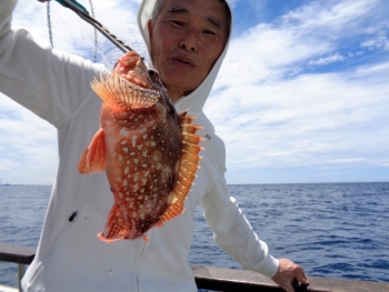 鯛紅丸 釣果