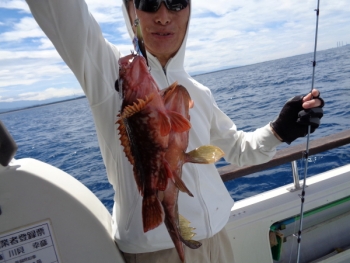 鯛紅丸 釣果