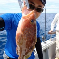鯛紅丸 釣果