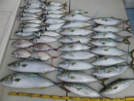 Hit Rush(ヒット ラッシュ） 釣果…