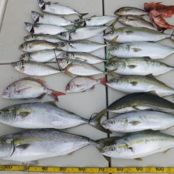 Hit Rush(ヒット ラッシュ） 釣果