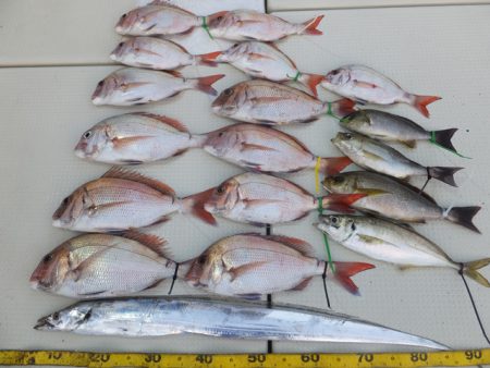 Hit Rush(ヒット ラッシュ） 釣果