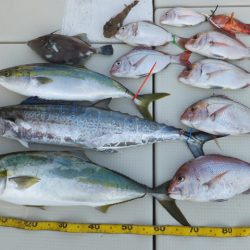 Hit Rush(ヒット ラッシュ） 釣果