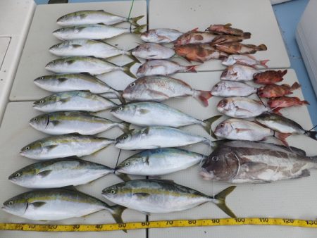 Hit Rush(ヒット ラッシュ） 釣果…