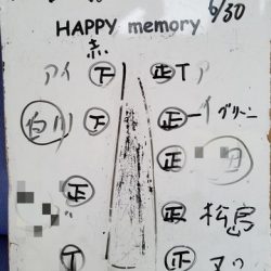 遊漁船　ニライカナイ 釣果