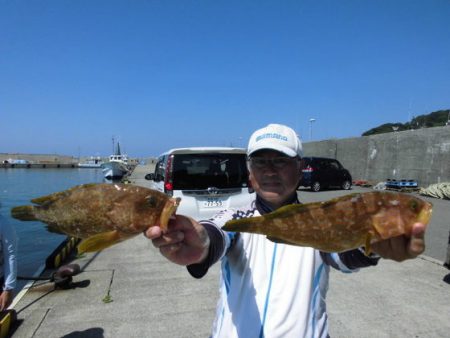 大進丸（新潟） 釣果