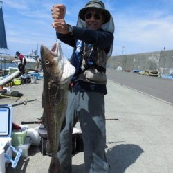 大進丸(新潟) 釣果