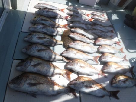 遊漁船 幸友丸 釣果