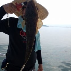 Magic（マジック） 釣果