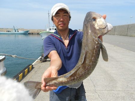 こうゆう丸 釣果