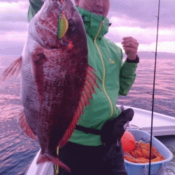 遊漁船ブルーウッズ 釣果