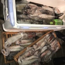 寿裕 （YOSHIHIRO） 釣果