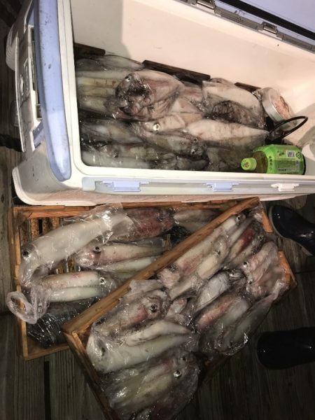 寿裕 （YOSHIHIRO） 釣果