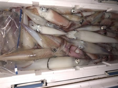 幸風（さちかぜ） 釣果