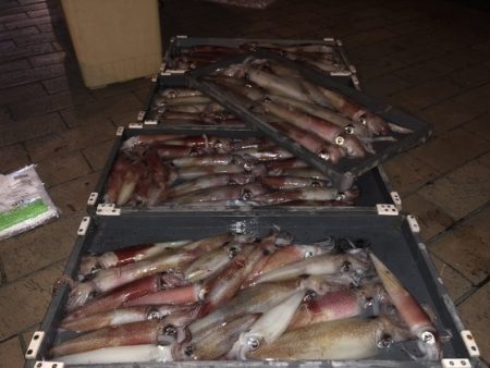 幸風（さちかぜ） 釣果