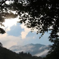 小菅トラウトガーデン 釣果