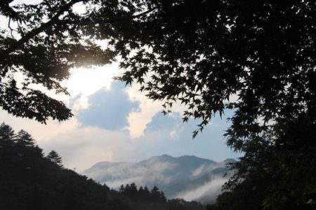 小菅トラウトガーデン 釣果