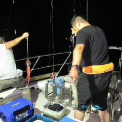 ジギング船 BLUEWATER 釣果