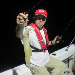 ジギング船 BLUEWATER 釣果