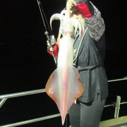 ジギング船 BLUEWATER 釣果