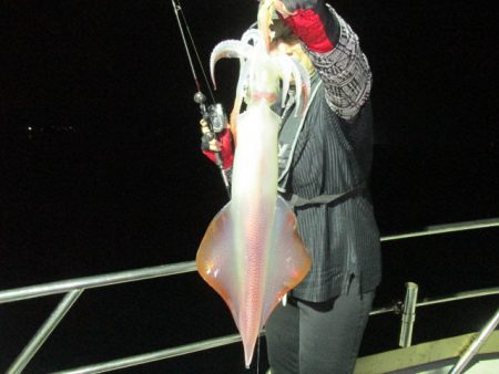 ジギング船 BLUEWATER 釣果