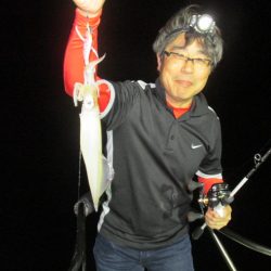 ジギング船 BLUEWATER 釣果