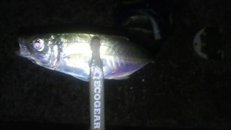 フロートアジング