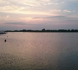 仕事帰りにハゼクラ