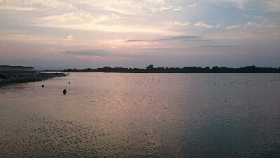 仕事帰りにハゼクラ