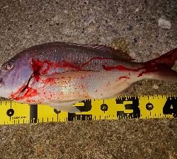 まさかの・・・