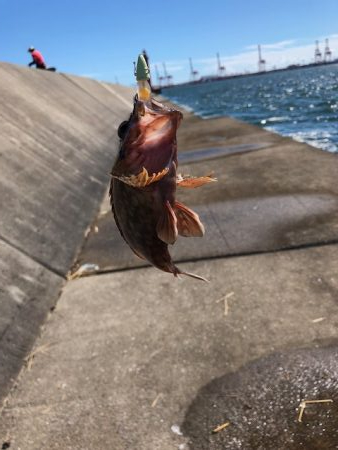 神戸MIDワインド