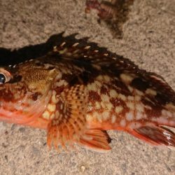 台風の来る前に