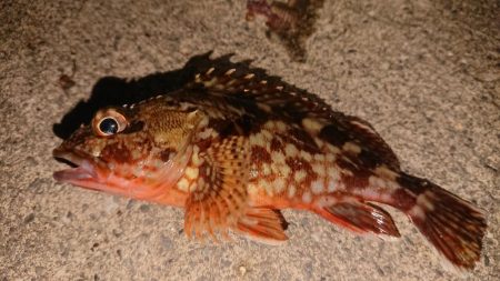 台風の来る前に