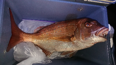 まさかの・・・