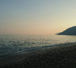 シイラのジャンプ！