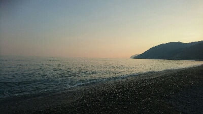 シイラのジャンプ！