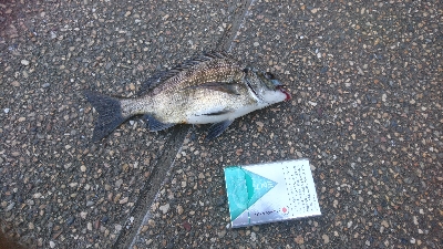 仕事を途中で切り上げヘチ