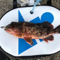 神戸MIDワインド