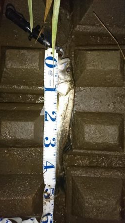 菊池川上流にて