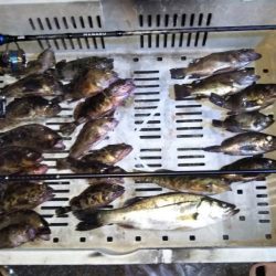 ライトゲーム帰れま10…0!?