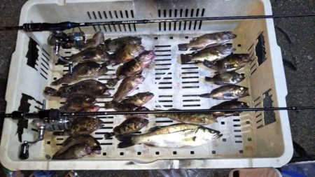 ライトゲーム帰れま10…0!?