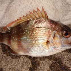 台風の来る前に