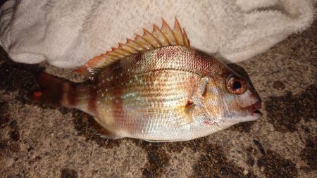 台風の来る前に