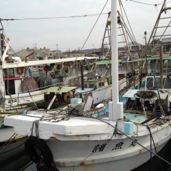台風前に釣りたくて
