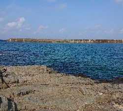 久しぶりの釣り